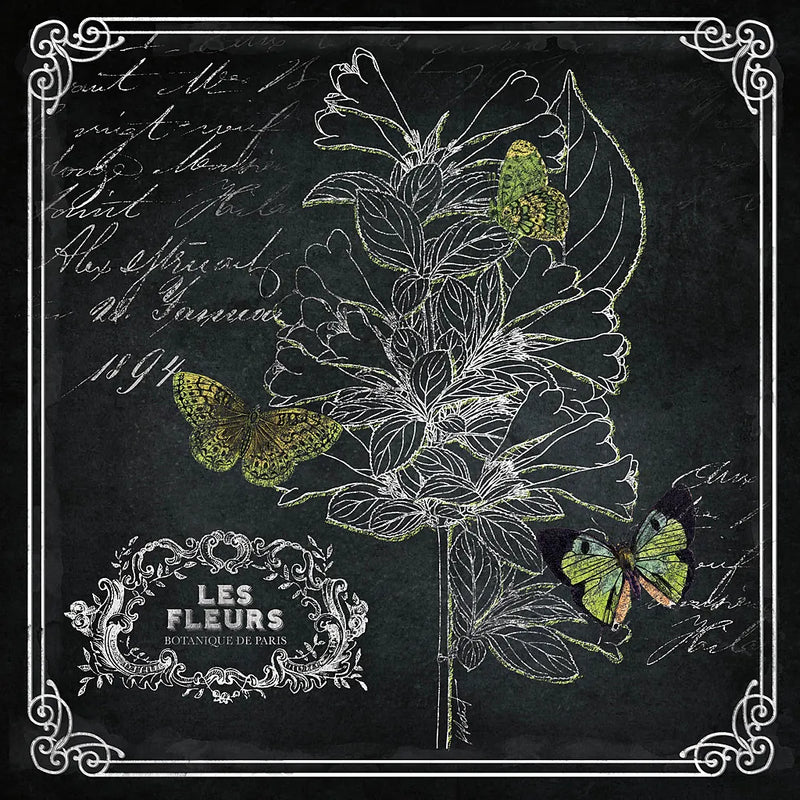 Chalkboard Botanical II 12x12 by Katie Pertiet. SKU 14311a. Archival Giclee Fine art print for wall decor.