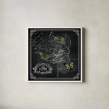 Chalkboard Botanical II 12x12 by Katie Pertiet. Shown in a crisp white glass frame for a clean and minimalist style. Available as an archival giclee rolled canvas, fine art paper, or poster print. SKU 14311a.