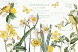 Citron Curiosities I by Katie Pertiet. SKU 36936i. Archival Giclee Fine art print for wall decor.