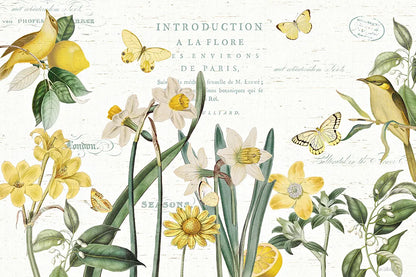 Citron Curiosities I by Katie Pertiet. SKU 36936i. Archival Giclee Fine art print for wall decor.