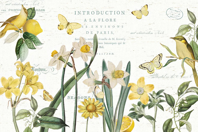 Citron Curiosities I by Katie Pertiet. SKU 36936i. Archival Giclee Fine art print for wall decor.