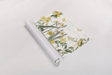 Citron Curiosities I by Katie Pertiet. shown as a rolled paper print. Available as archival giclee rolled canvas, fine art paper, or poster print. SKU 36936i.