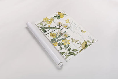 Citron Curiosities I by Katie Pertiet. shown as a rolled paper print. Available as archival giclee rolled canvas, fine art paper, or poster print. SKU 36936i.