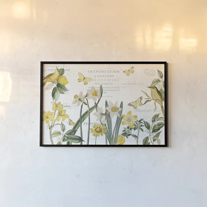 Citron Curiosities I by Katie Pertiet. shown as a paper print in a black flame. Available as a archival giclee rolled canvas, fine art paper, or poster print. SKU 36936i.