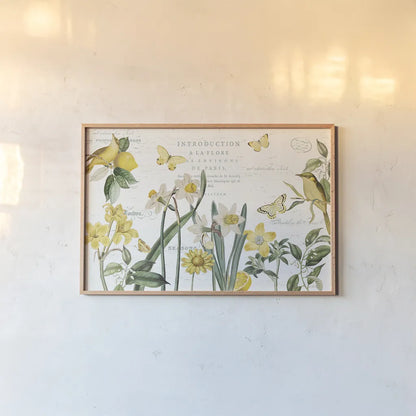 Citron Curiosities I by Katie Pertiet. shown as a paper print in a natural frame. Available as a archival giclee rolled canvas, fine art paper, or poster print. SKU 36936i.