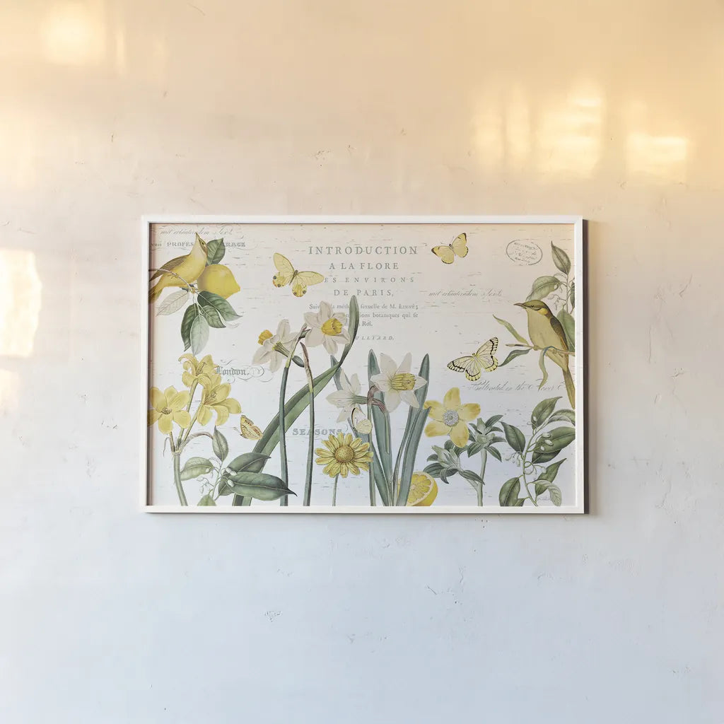 Citron Curiosities I by Katie Pertiet. shown as a paper print in a white frame. Available as a archival giclee rolled canvas, fine art paper, or poster print. SKU 36936i.