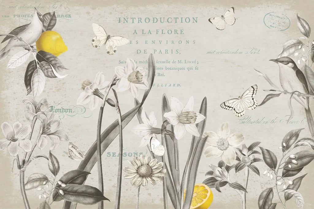 Citron Curiosities I Gray by Katie Pertiet. SKU 38484i. Archival Giclee Fine art print for wall decor.