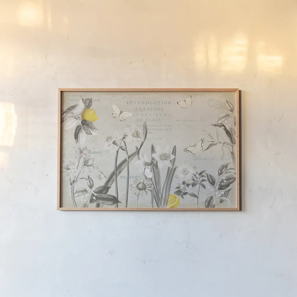 Citron Curiosities I Gray by Katie Pertiet. shown as a paper print in a natural frame. Available as a archival giclee rolled canvas, fine art paper, or poster print. SKU 38484i.