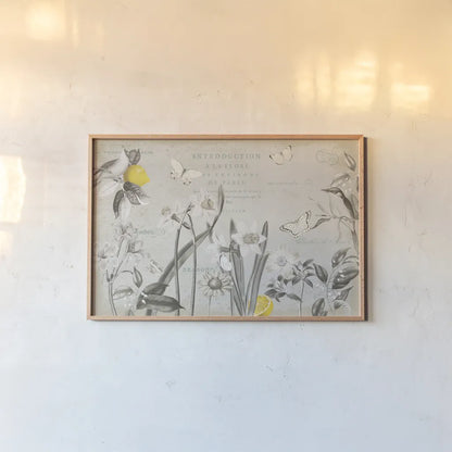 Citron Curiosities I Gray by Katie Pertiet. shown as a paper print in a natural frame. Available as a archival giclee rolled canvas, fine art paper, or poster print. SKU 38484i.