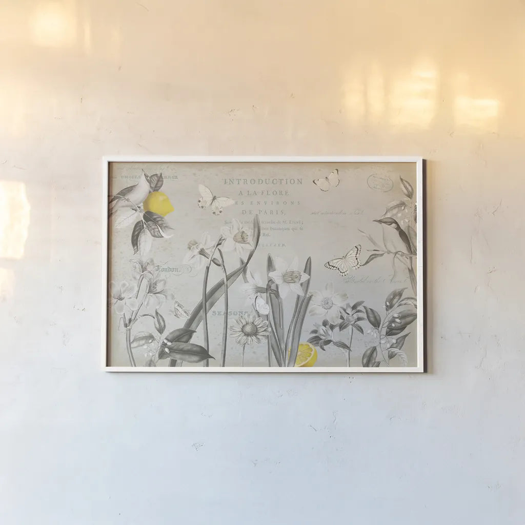 Citron Curiosities I Gray by Katie Pertiet. shown as a paper print in a white frame. Available as a archival giclee rolled canvas, fine art paper, or poster print. SKU 38484i.