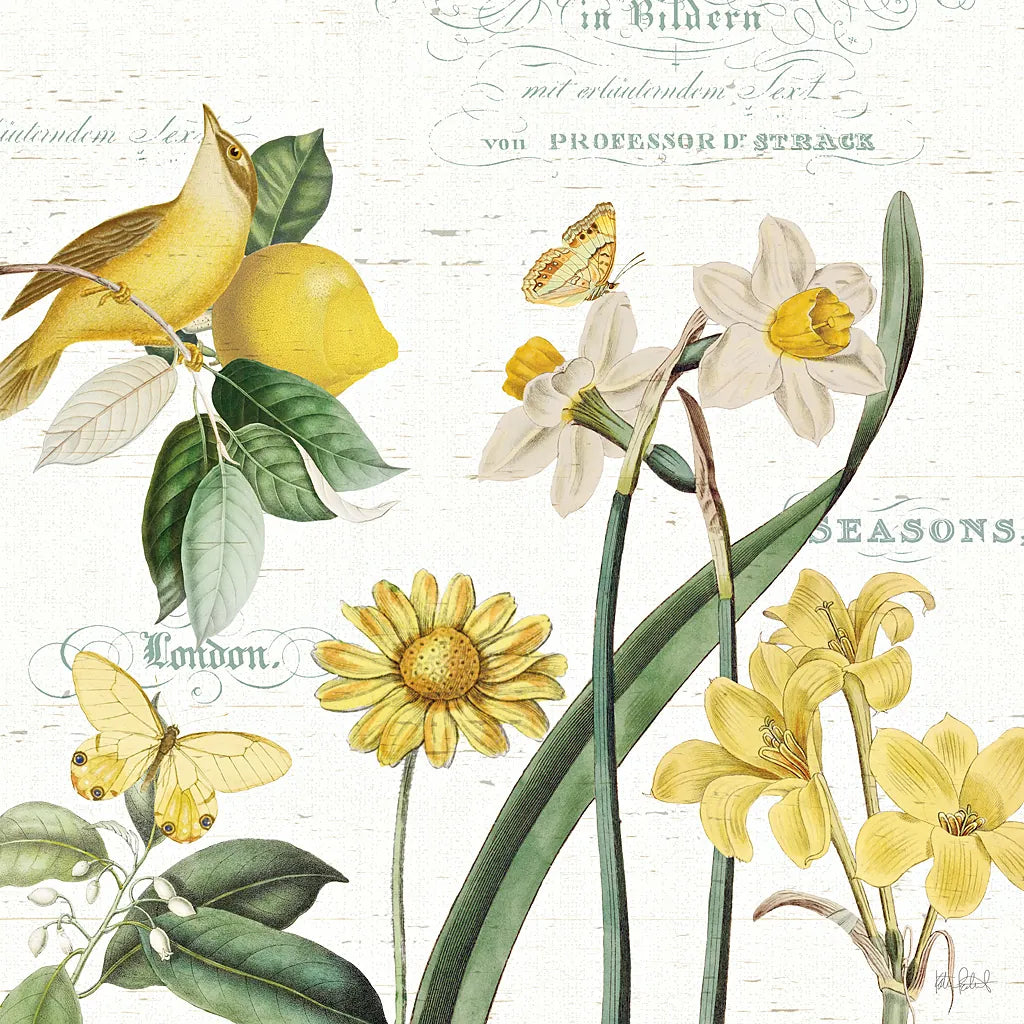 Citron Curiosities II by Katie Pertiet. SKU 36937a. Archival Giclee Fine art print for wall decor.