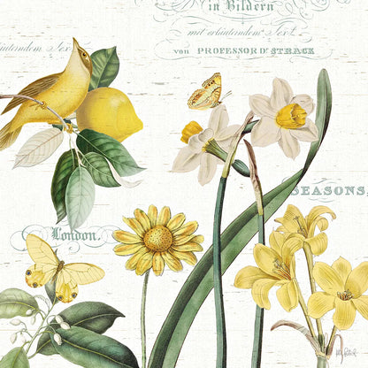 Citron Curiosities II by Katie Pertiet. SKU 36937a. Archival Giclee Fine art print for wall decor.