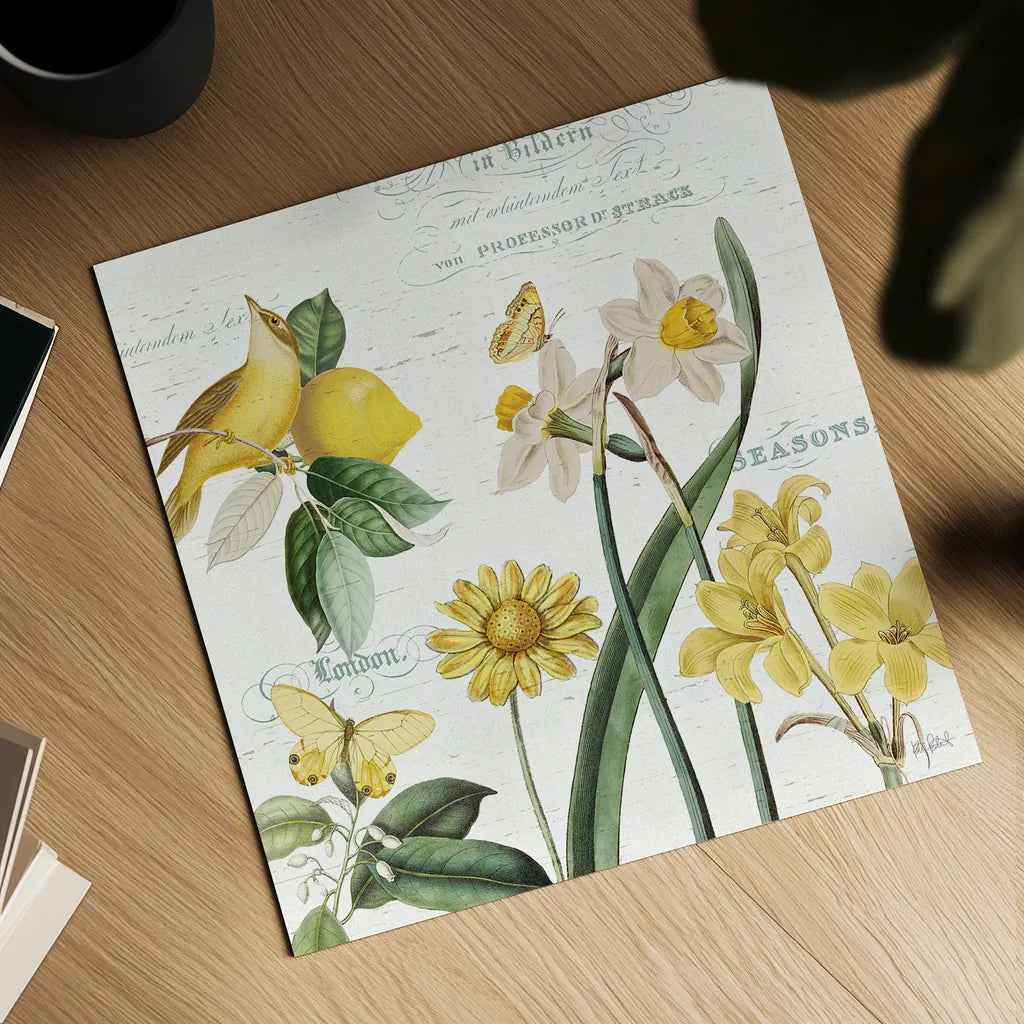 Citron Curiosities II by Katie Pertiet. Shown as a detailed flat fine art print, highlighting archival giclee quality. Available as an archival giclee rolled canvas, fine art paper, or poster print. SKU 36937a.