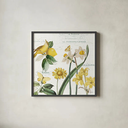Citron Curiosities II by Katie Pertiet. Shown in a sleek black glass frame for a contemporary gallery look. Available as an archival giclee rolled canvas, fine art paper, or poster print. SKU 36937a.