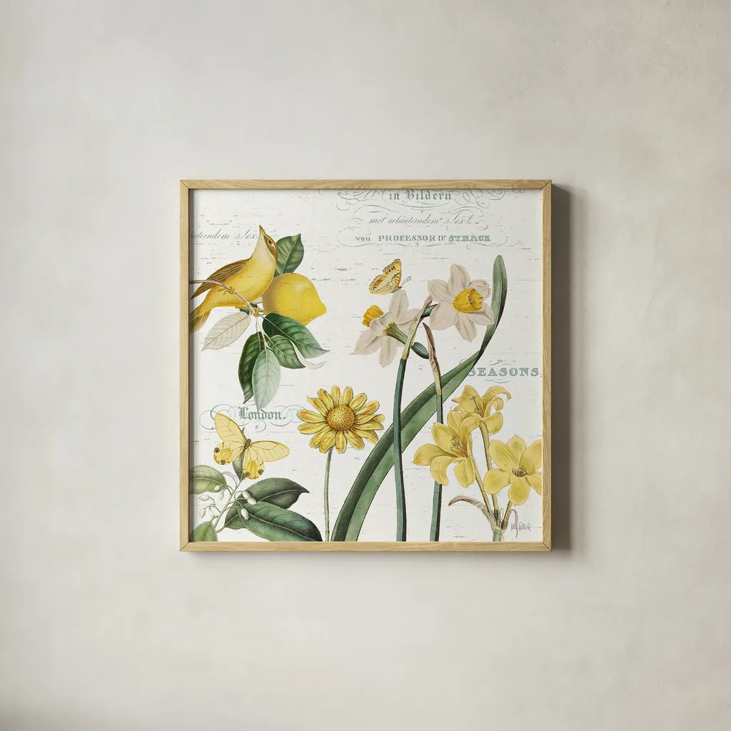 Citron Curiosities II by Katie Pertiet. Shown in a natural wood glass frame for a timeless modern aesthetic. Available as an archival giclee rolled canvas, fine art paper, or poster print. SKU 36937a.