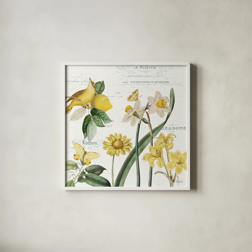 Citron Curiosities II by Katie Pertiet. Shown in a crisp white glass frame for a clean and minimalist style. Available as an archival giclee rolled canvas, fine art paper, or poster print. SKU 36937a.