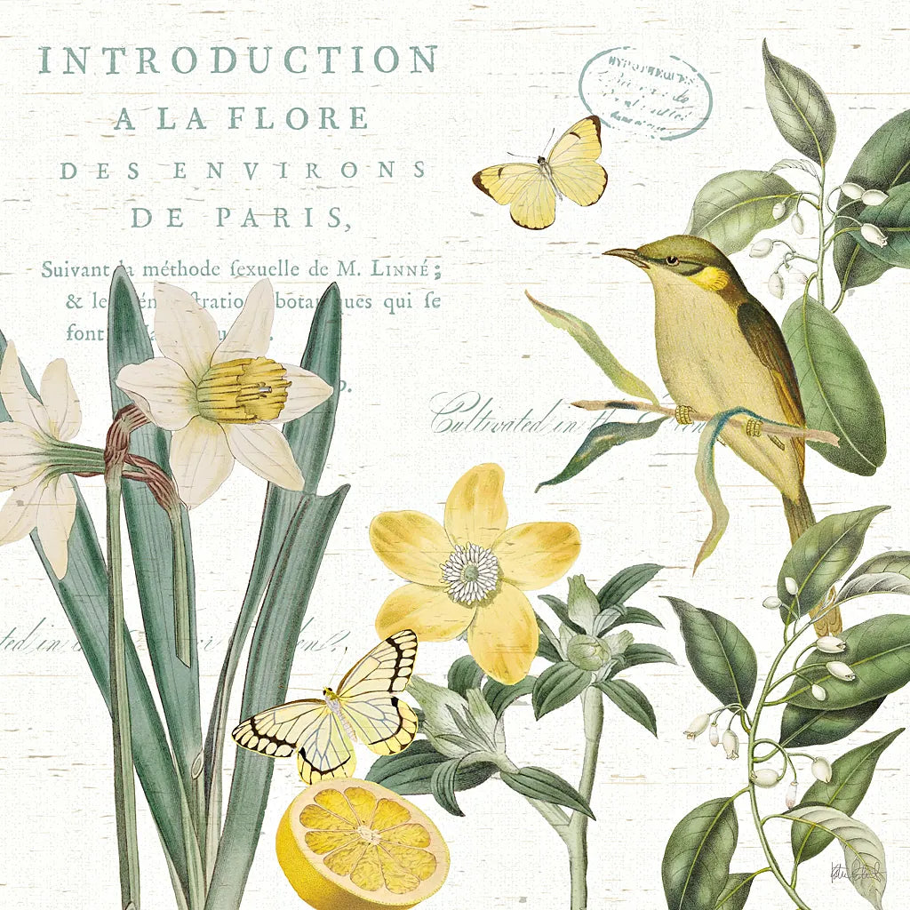 Citron Curiosities III by Katie Pertiet. SKU 36938a. Archival Giclee Fine art print for wall decor.