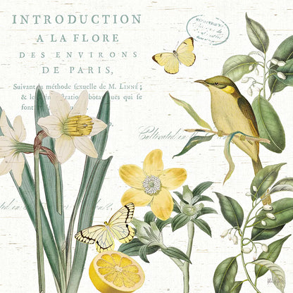 Citron Curiosities III by Katie Pertiet. SKU 36938a. Archival Giclee Fine art print for wall decor.