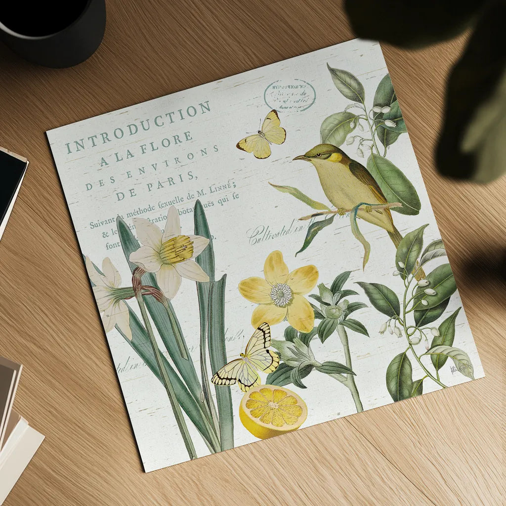 Citron Curiosities III by Katie Pertiet. Shown as a detailed flat fine art print, highlighting archival giclee quality. Available as an archival giclee rolled canvas, fine art paper, or poster print. SKU 36938a.