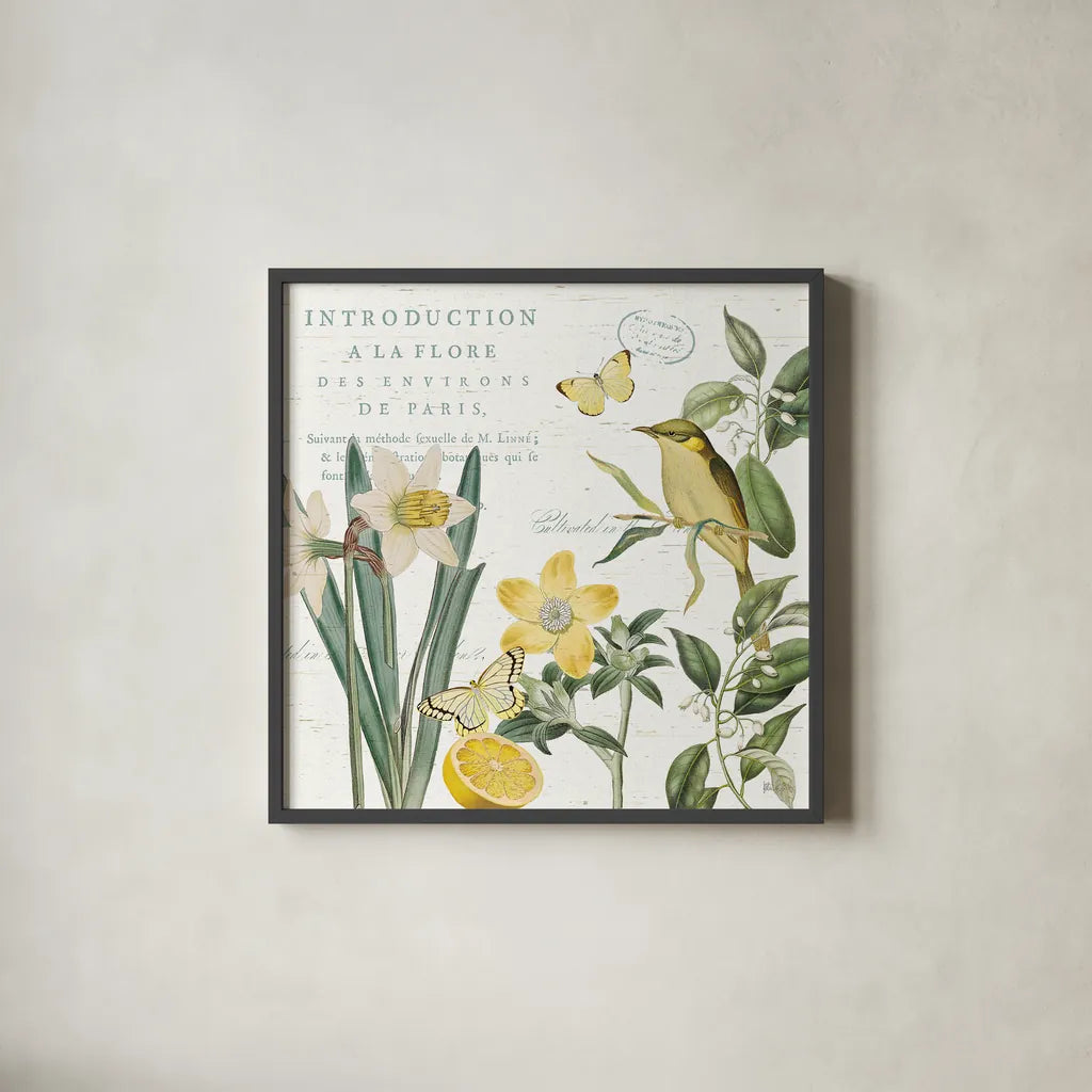 Citron Curiosities III by Katie Pertiet. Shown in a sleek black glass frame for a contemporary gallery look. Available as an archival giclee rolled canvas, fine art paper, or poster print. SKU 36938a.