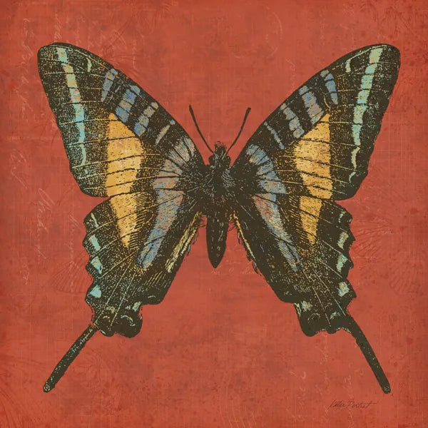 Cranberry Butterfly by Katie Pertiet. SKU 5955a. Archival Giclee Fine art print for wall decor.