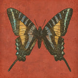 Cranberry Butterfly by Katie Pertiet. SKU 5955a. Archival Giclee Fine art print for wall decor.