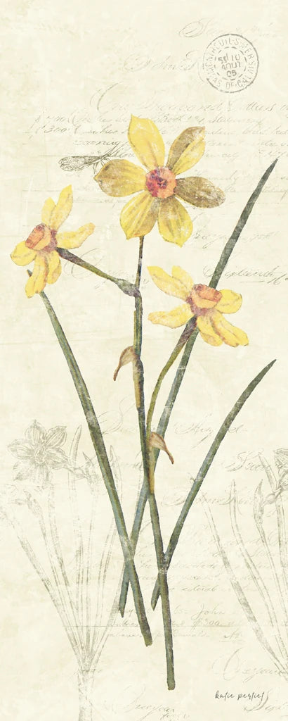 Daffodil Panel by Katie Pertiet