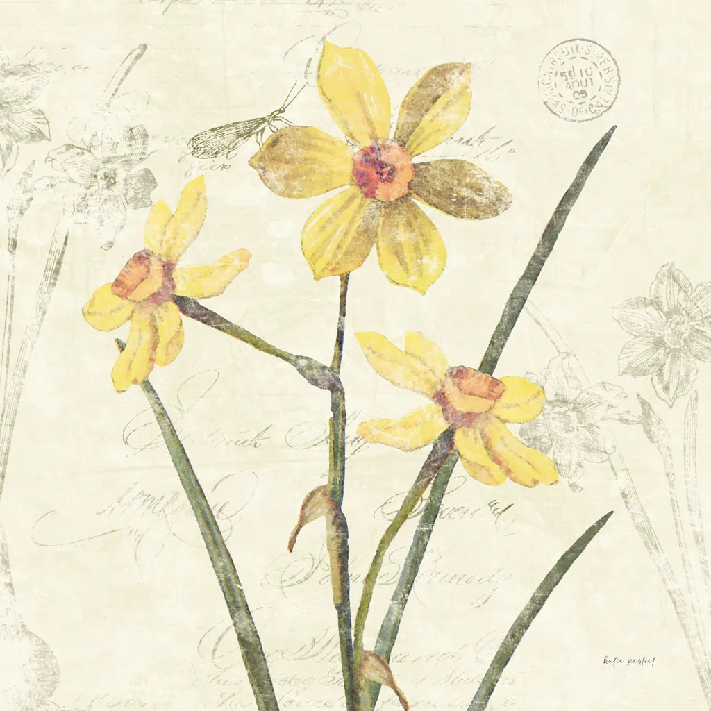 Daffodil Square by Katie Pertiet. SKU 5986a. Archival Giclee Fine art print for wall decor.