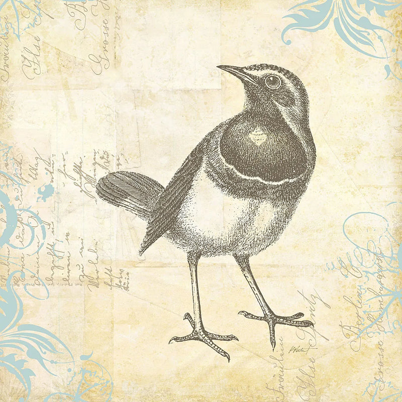 Engraved Birds II by Katie Pertiet. SKU 11403a. Archival Giclee Fine art print for wall decor.