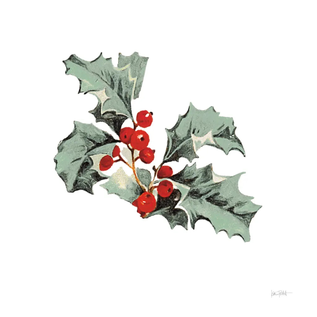 Farmhouse Christmas Floral II by Katie Pertiet. SKU 64779a. Archival Giclee Fine art print for wall decor.