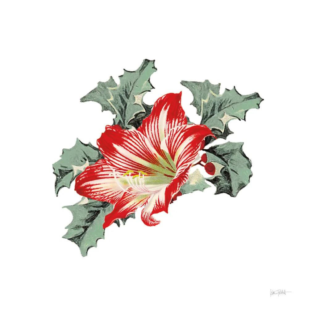 Farmhouse Christmas Floral III by Katie Pertiet. SKU 64780a. Archival Giclee Fine art print for wall decor.
