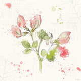 Floral Splash II by Katie Pertiet. SKU 27182a. Archival Giclee Fine art print for wall decor.