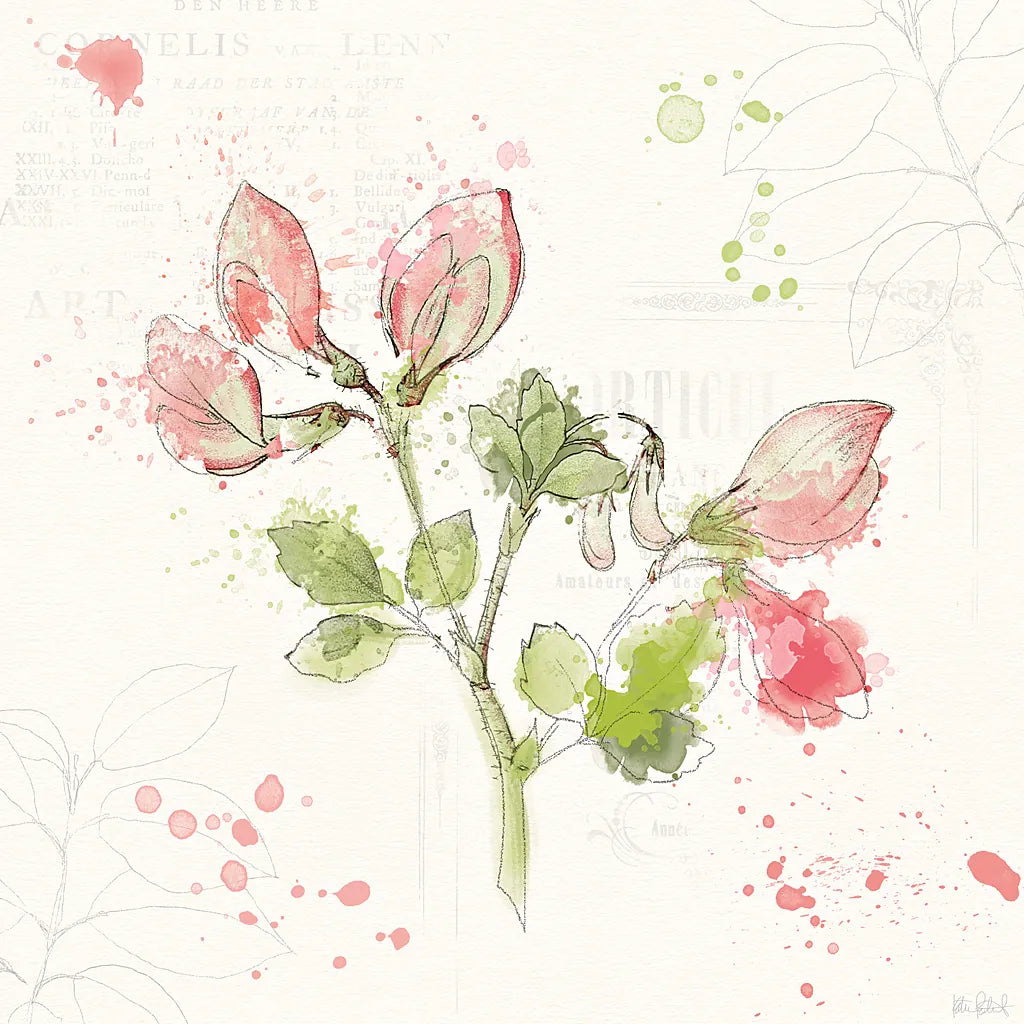 Floral Splash II by Katie Pertiet. SKU 27182a. Archival Giclee Fine art print for wall decor.