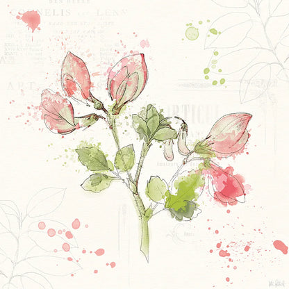 Floral Splash II by Katie Pertiet. SKU 27182a. Archival Giclee Fine art print for wall decor.