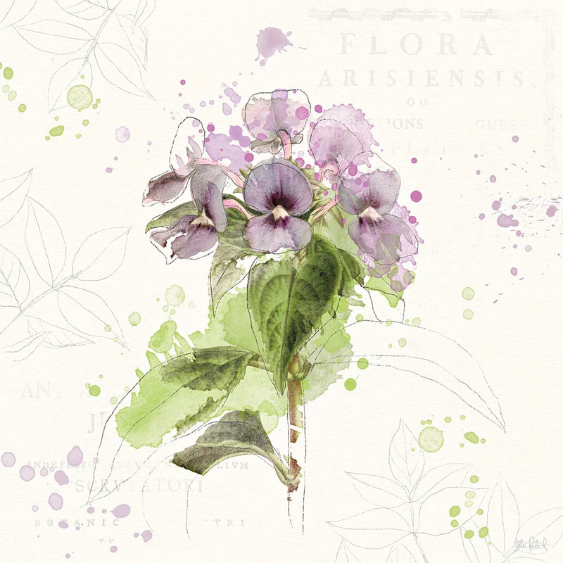 Floral Splash III by Katie Pertiet. SKU 27183a. Archival Giclee Fine art print for wall decor.