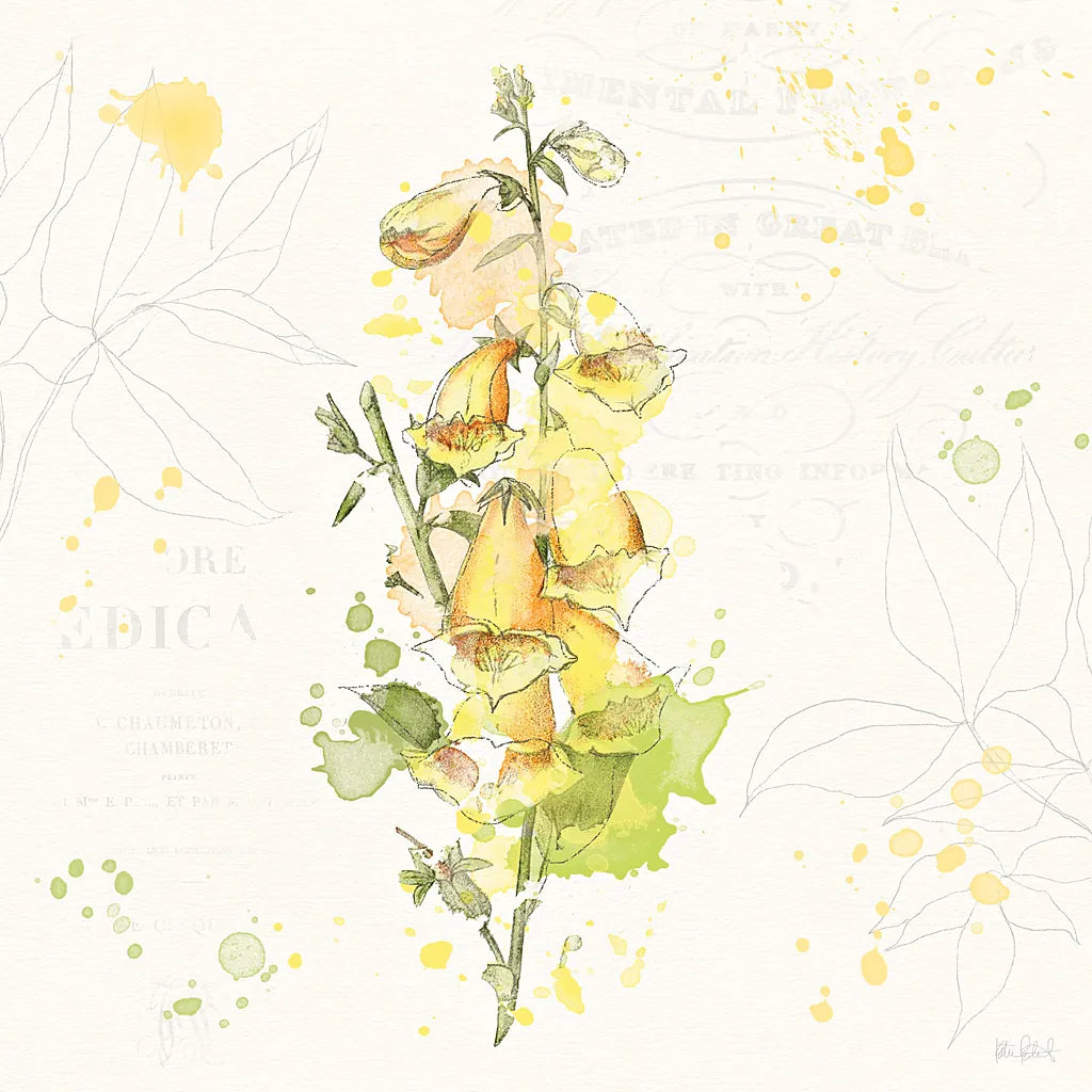 Floral Splash IV by Katie Pertiet. SKU 27184a. Archival Giclee Fine art print for wall decor.