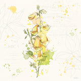 Floral Splash IV by Katie Pertiet. SKU 27184a. Archival Giclee Fine art print for wall decor.
