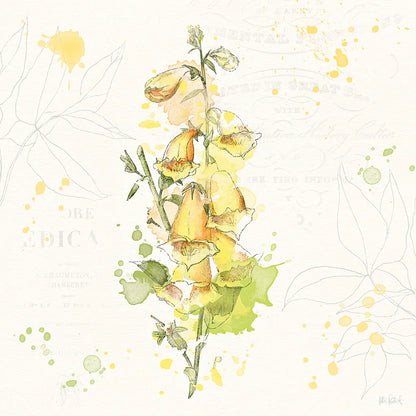 Floral Splash IV by Katie Pertiet. SKU 27184a. Archival Giclee Fine art print for wall decor.