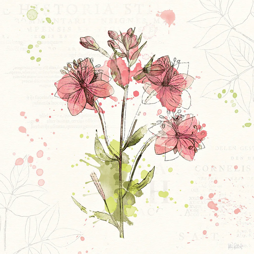 Floral Splash V by Katie Pertiet. SKU 27185a. Archival Giclee Fine art print for wall decor.