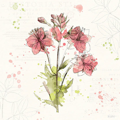 Floral Splash V by Katie Pertiet. SKU 27185a. Archival Giclee Fine art print for wall decor.