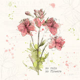 Floral Splash V Rain by Katie Pertiet. SKU 56413a. Archival Giclee Fine art print for wall decor.