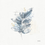 Floresta II by Katie Pertiet. SKU 30008a. Archival Giclee Fine art print for wall decor.