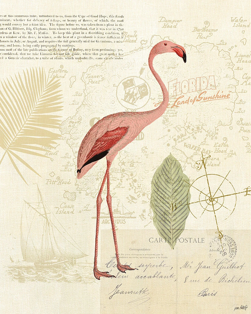 Floridian I by Katie Pertiet