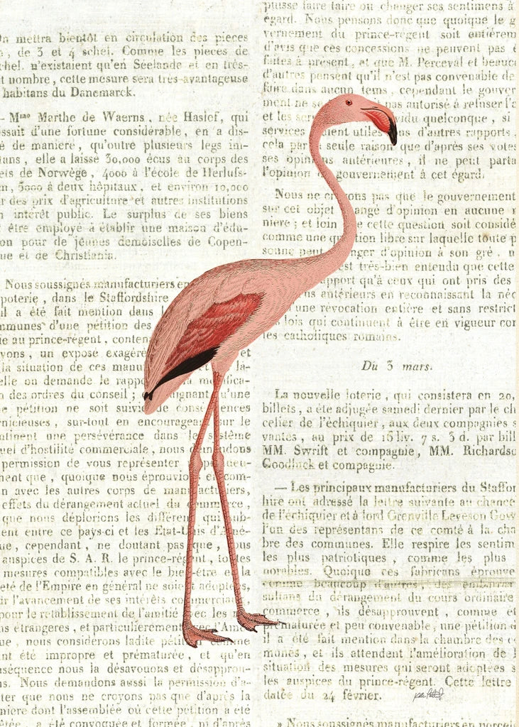 Floridian I Newsprint by Katie Pertiet