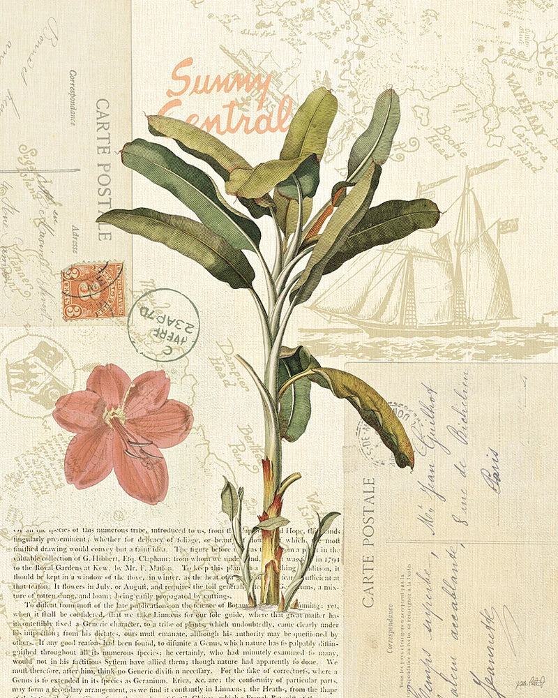 Floridian III by Katie Pertiet