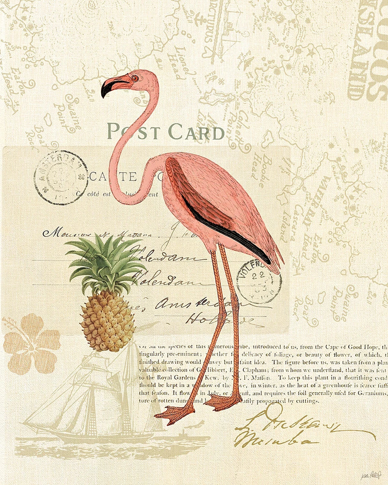 Floridian IV by Katie Pertiet
