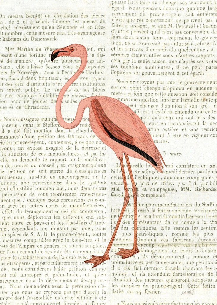 Floridian IV Newsprint by Katie Pertiet