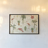 Floridian VI by Katie Pertiet. shown as a paper print in a black flame. Available as a archival giclee rolled canvas, fine art paper, or poster print. SKU 53439i.