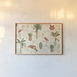 Floridian VI by Katie Pertiet. shown as a paper print in a natural frame. Available as a archival giclee rolled canvas, fine art paper, or poster print. SKU 53439i.