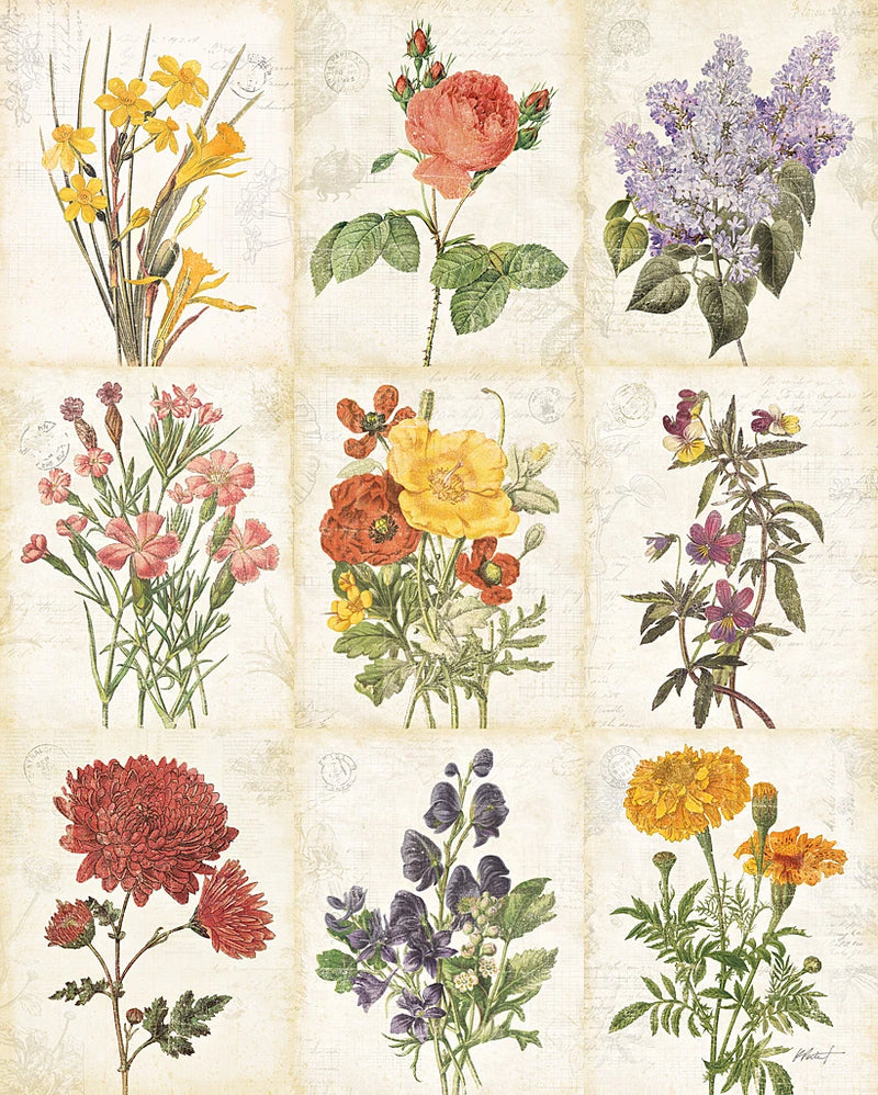 Flowers of the Month 9 Patch by Katie Pertiet